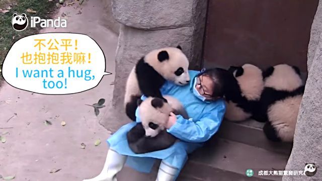 pandananny2