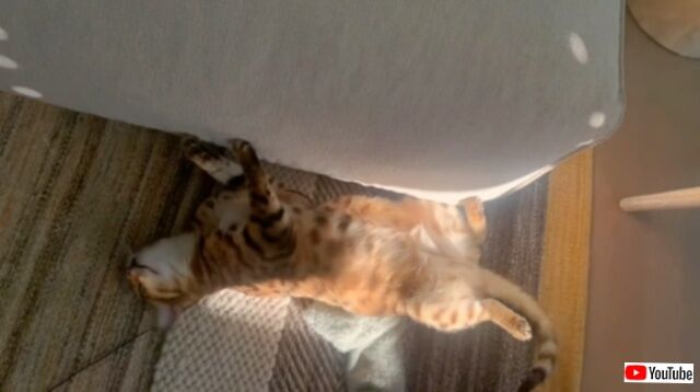 20230918_201536 (2)_batch