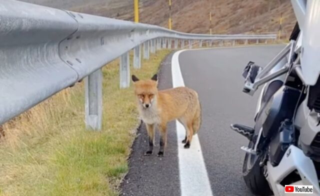 20231219_115445 (7)_batch