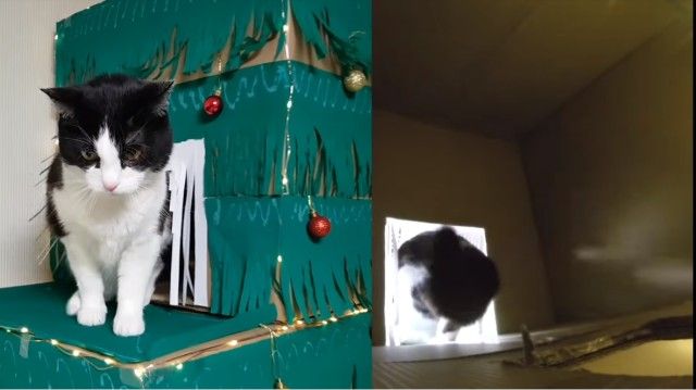 pusicxmasmaze12_e