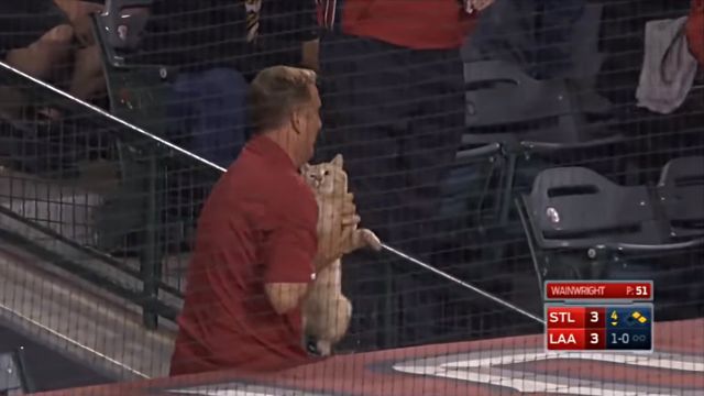 MLB8