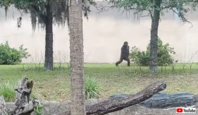 20230523_113530 (3)_batch