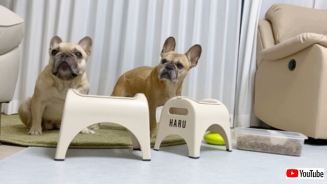 20240115_194353 (2)_batch