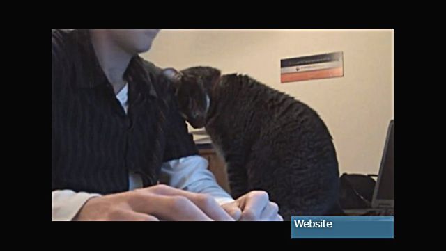 sleepingcat4