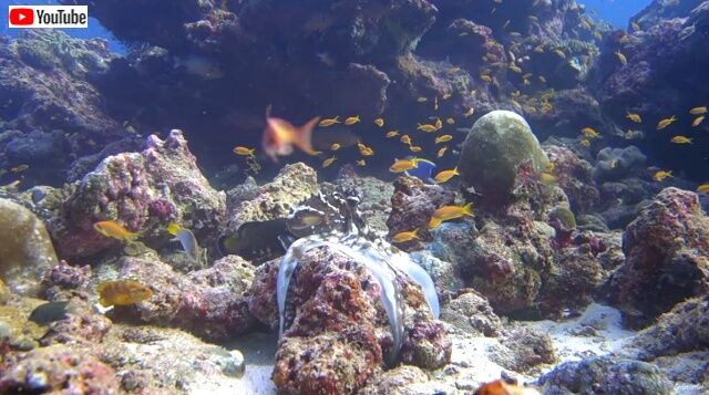 maldives5_640