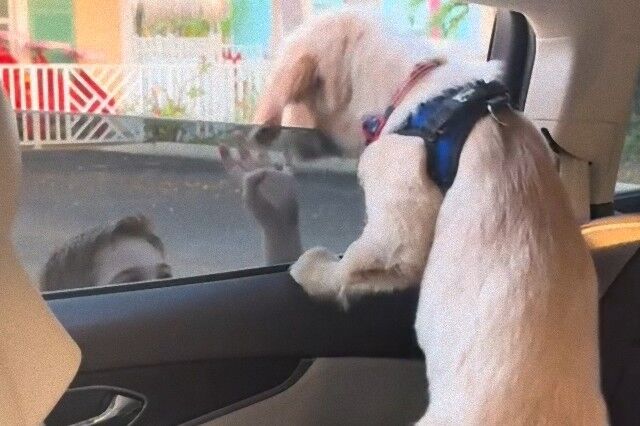 20240317_101534 (3)_e