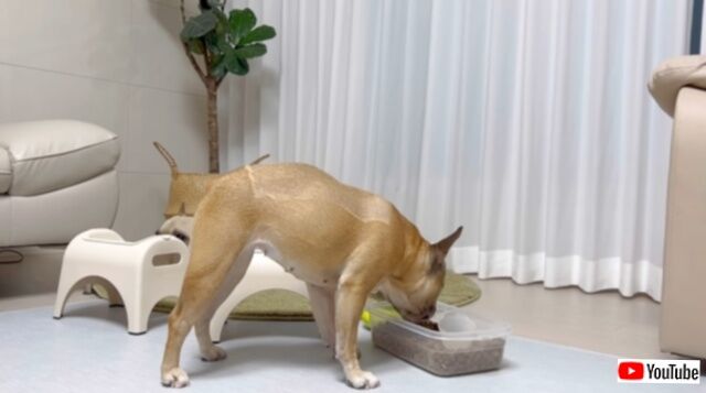 20240115_194353 (4)_batch