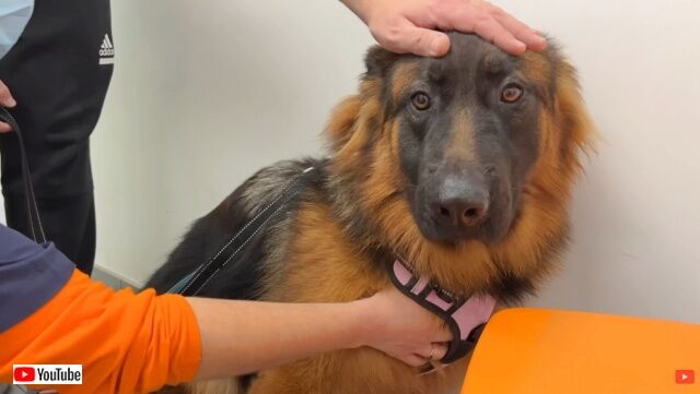 20221129_082525 (7)_batch