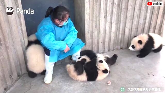 meimei7_640