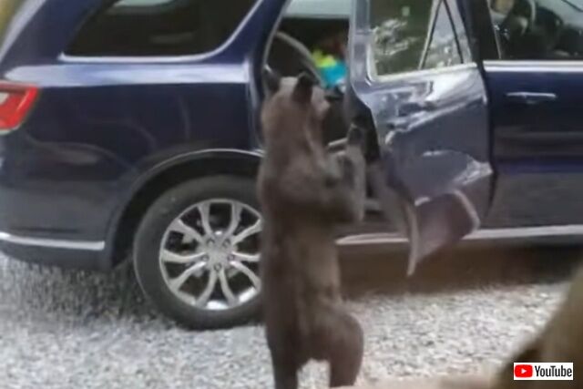 20220710_040432 (2)_batch