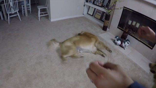 oshie8_e