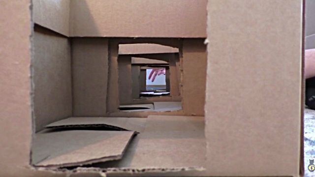 catmaze6
