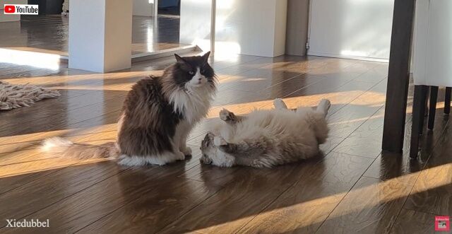 20230210_121724 (8)_batch