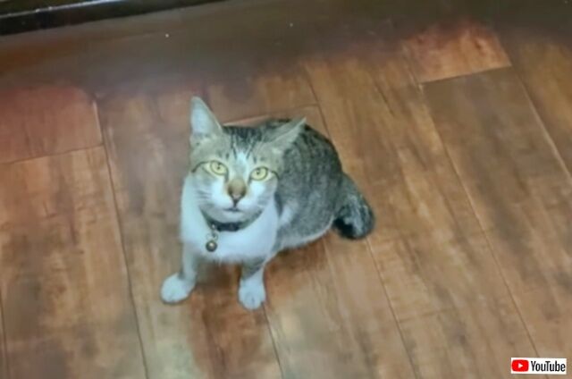 20230624_035748 (2)_batch