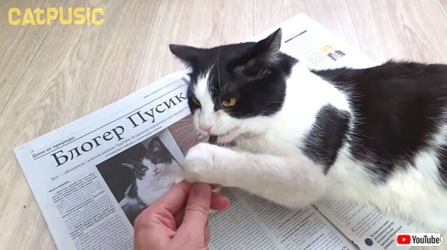 newspaper4_640