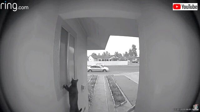 doorbell2_640