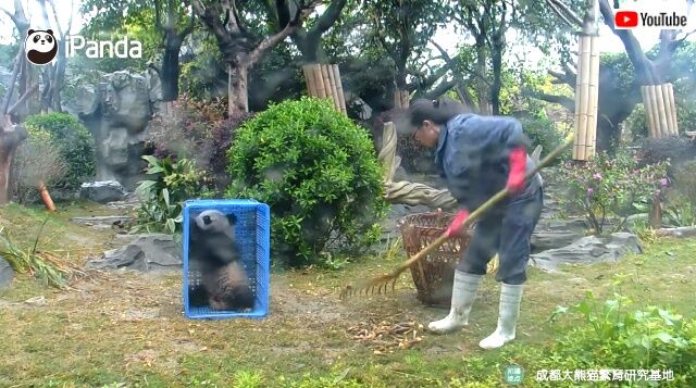pandaworkers3_640
