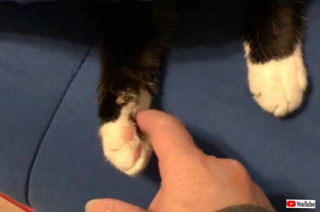 20231018_061445 (4)_batch