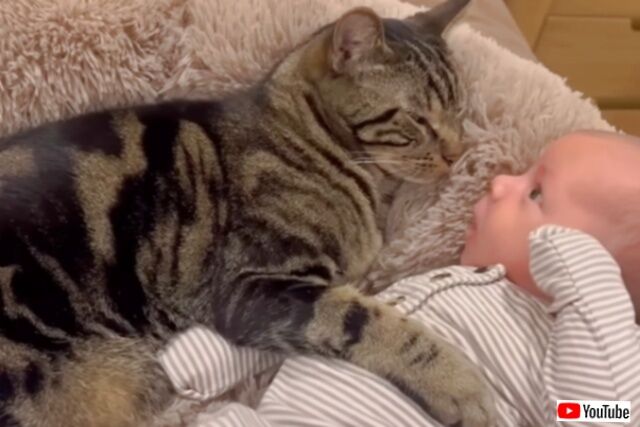 20240305_160450_batch