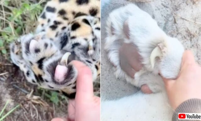 20240104_115108_batch