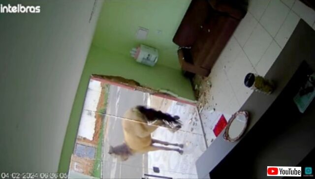 20240214_061023 (6)_batch