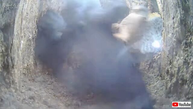 20220920_225138 (3)_batch