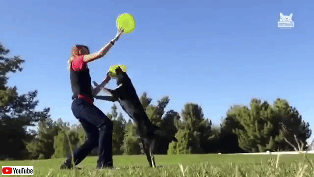 fluffyfailsfurrywins6