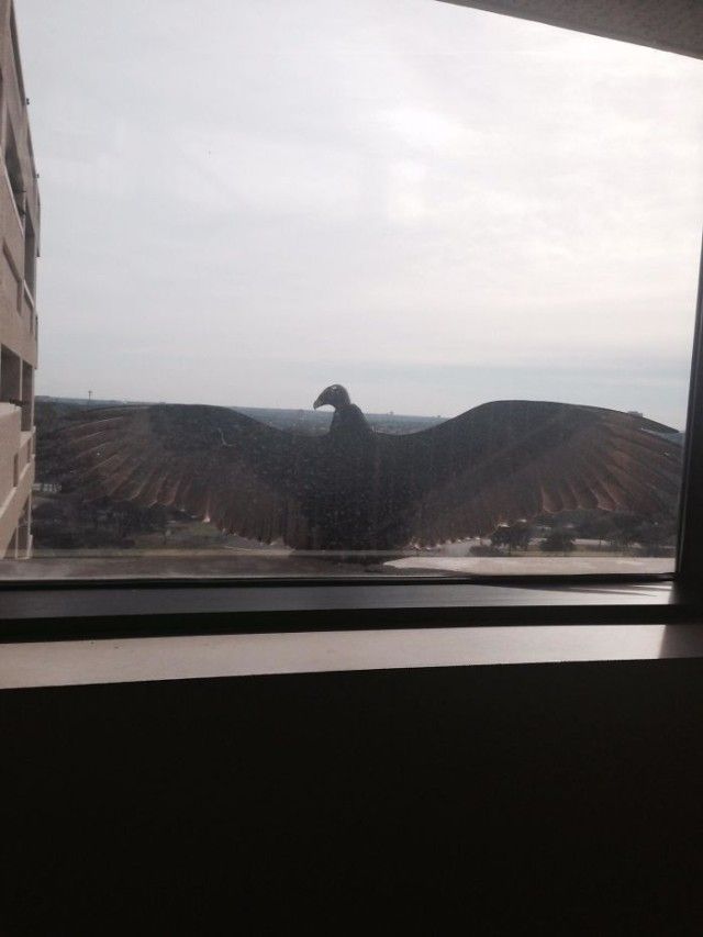 visitingwindows13_e