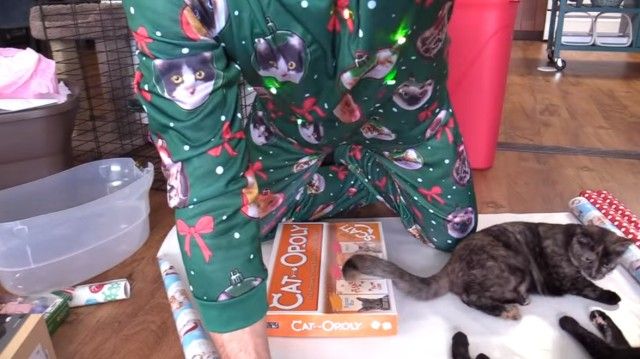catshaming8_e