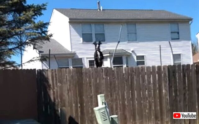 trampoline2_640