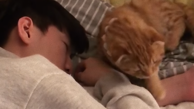slleepy-3_e