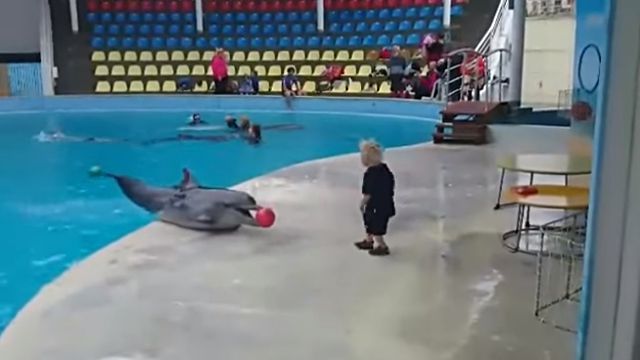 dolphinwithkid1