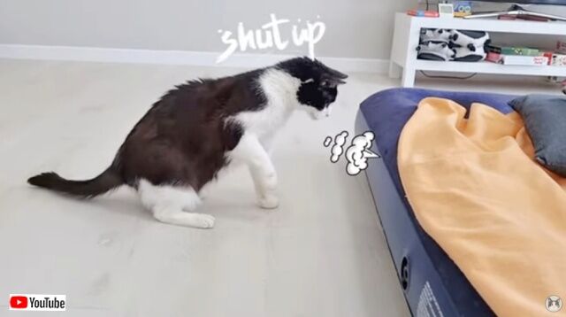 20230318_111856 (3)_batch