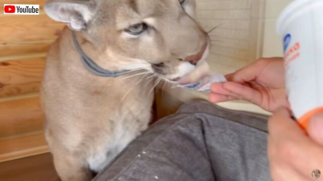 20230716_084819 (5)_batch