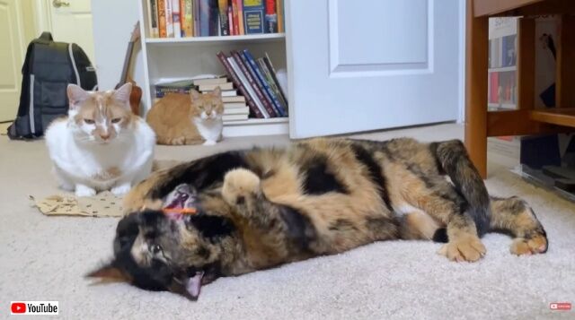 20221109_111926 (3)_batch