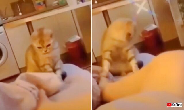 20221127_075539_batch