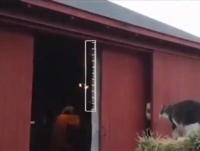catfailjump3_e