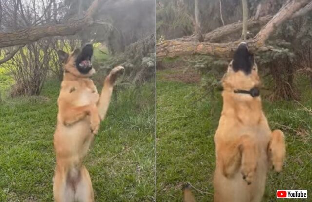 20220517_065548 (4)_batch