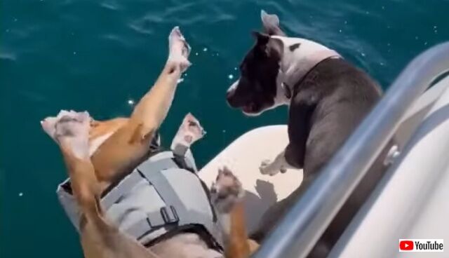 20220716_075955 (8)_batch