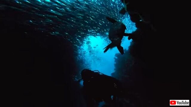 20220409_072935_batch