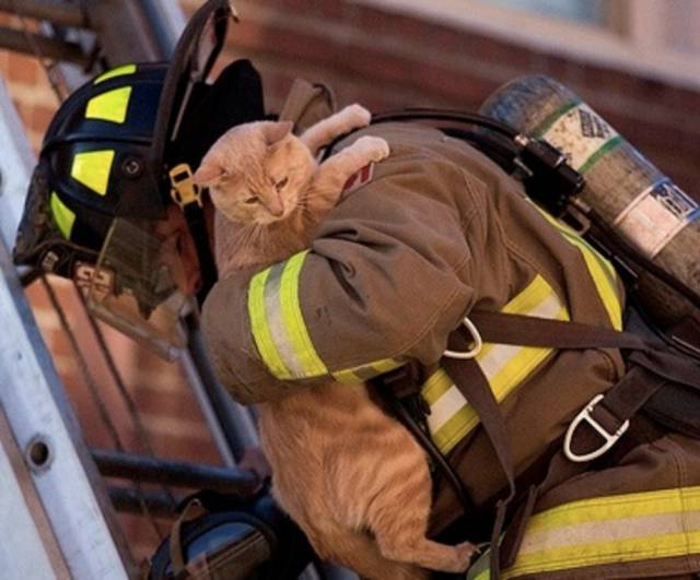 firefighters_know_that_each_and_every_life_matters_640_13