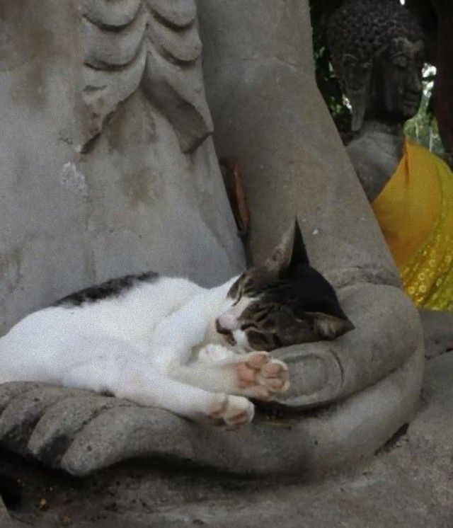 catnstatue4_e