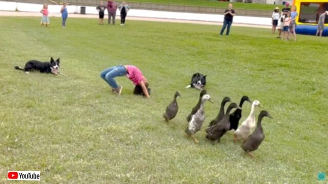 20240128_000252 (11)_batch