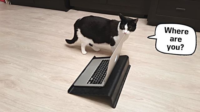 videochat0