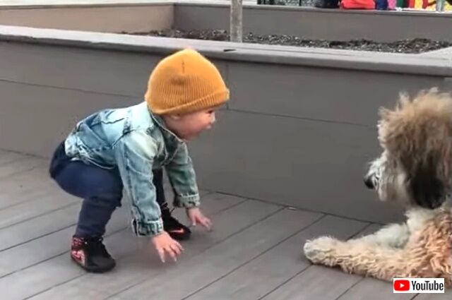 toddler2_640