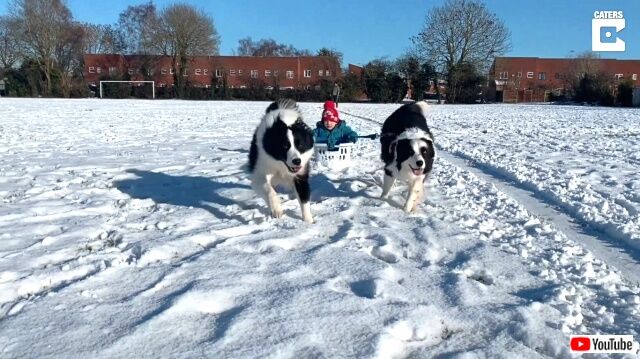 sledding5_640