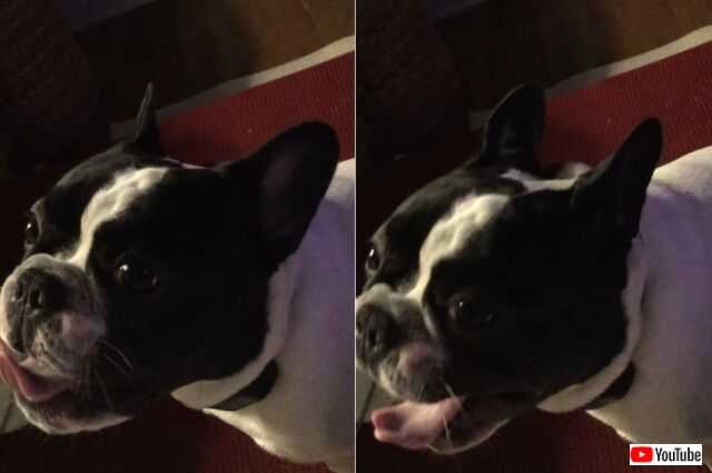 20220811_050711_batch