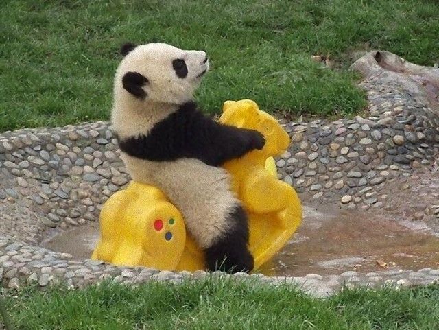 pandas4_e