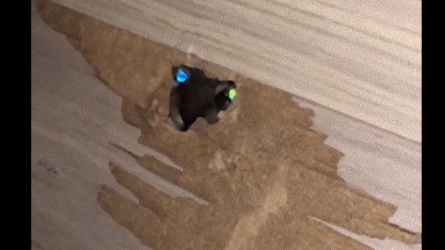 dropped0
