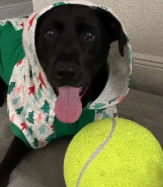 20240327_042444 (4)_e